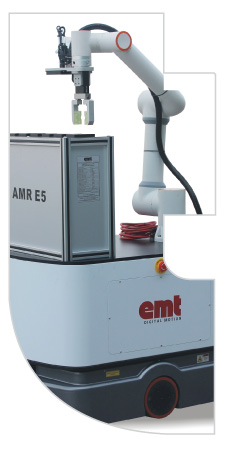 Flexible Management Systems (FMS)